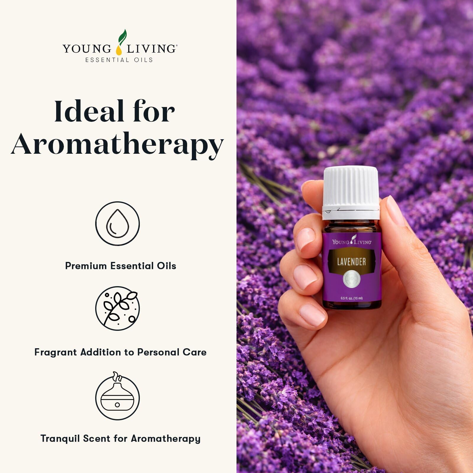 Young Living Óleo essencial de lavanda 15 ml – Óleo de